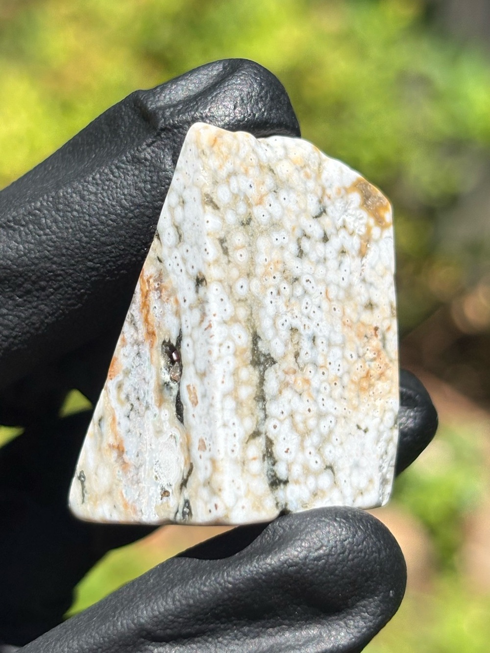 Small Ocean Jasper Crystal Freeform - Orbicular Jasper - Polished Sea Jasper